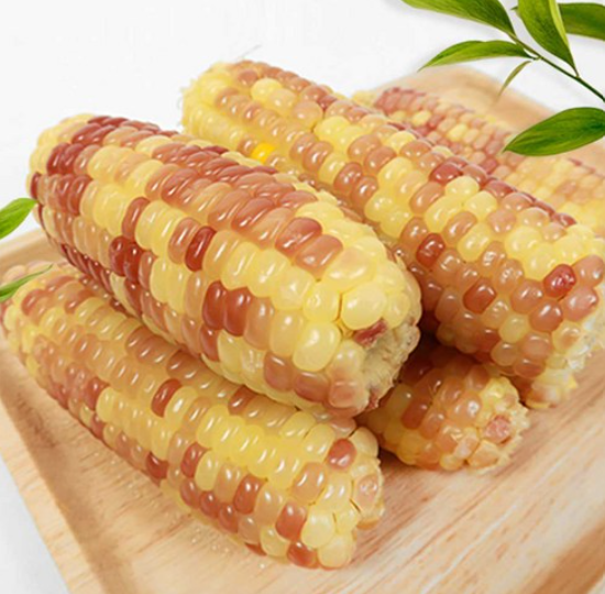 #0022 홍찰 쫀득한 찰옥수수